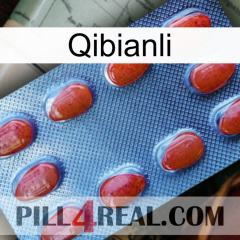 Qibianli 06